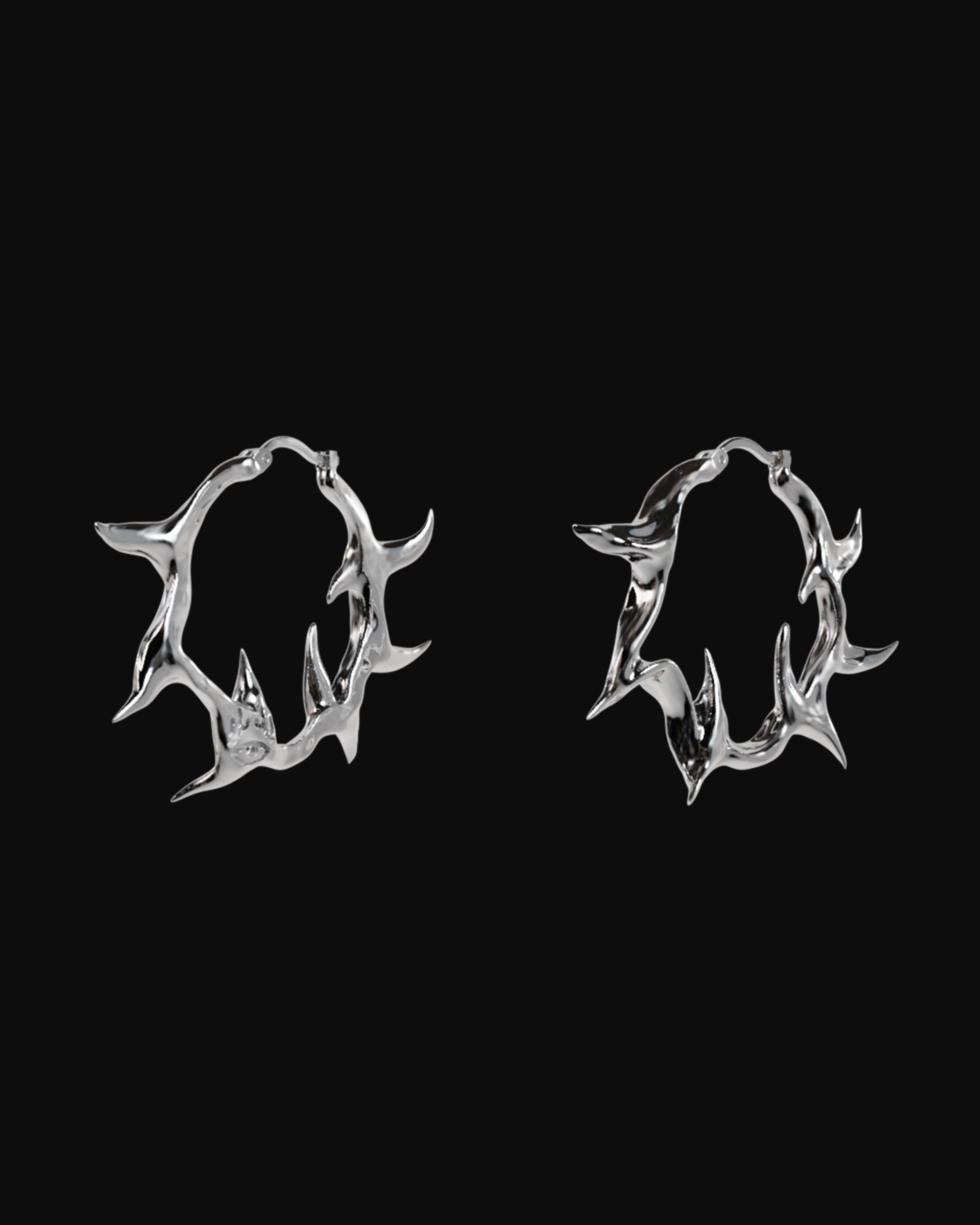 Shark’s fang