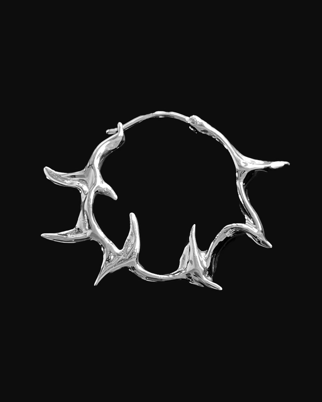 Shark’s fang