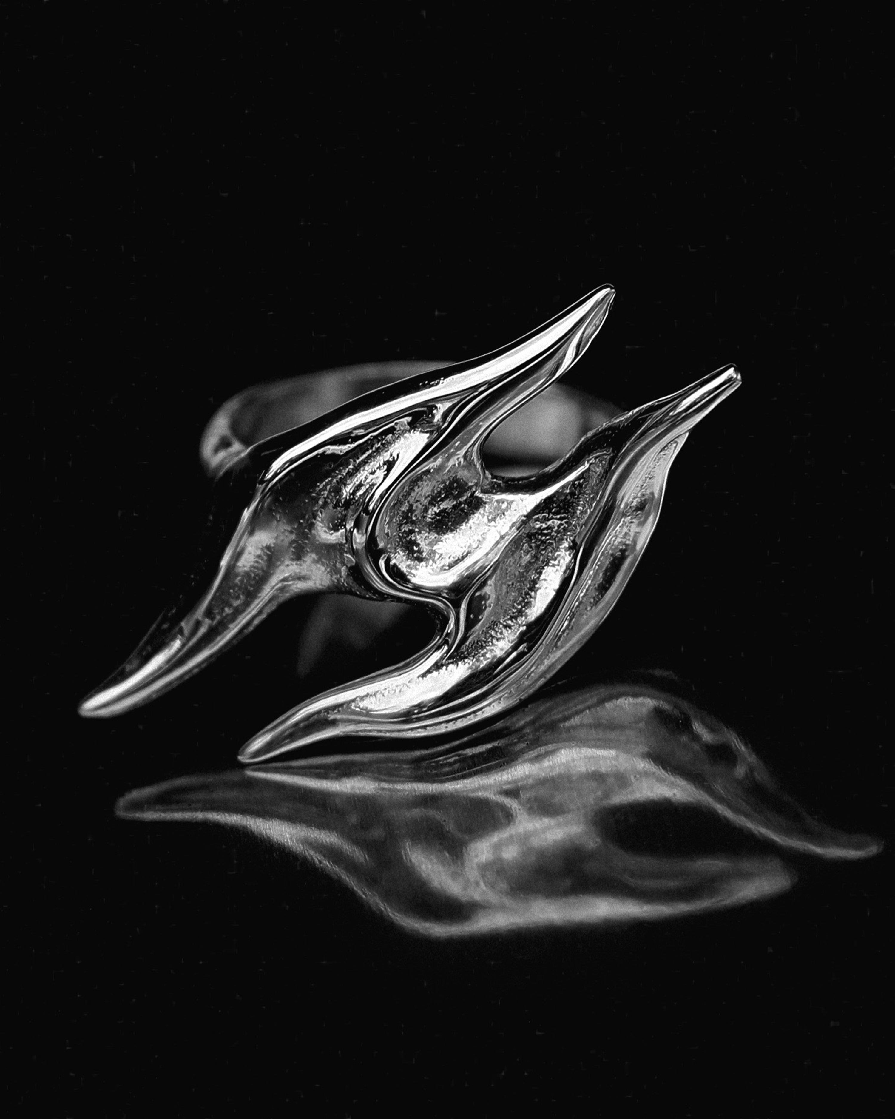 Ring 01